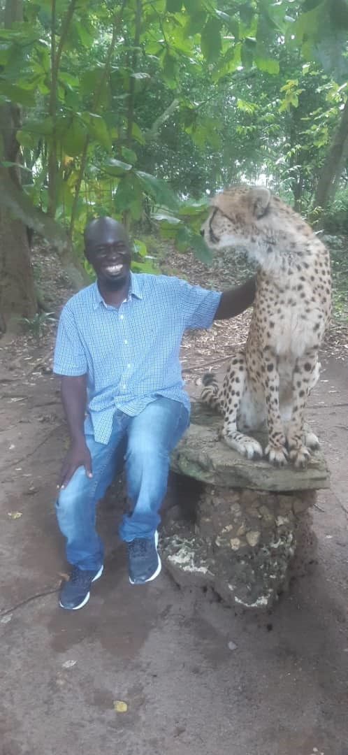 Cheetah's Rock