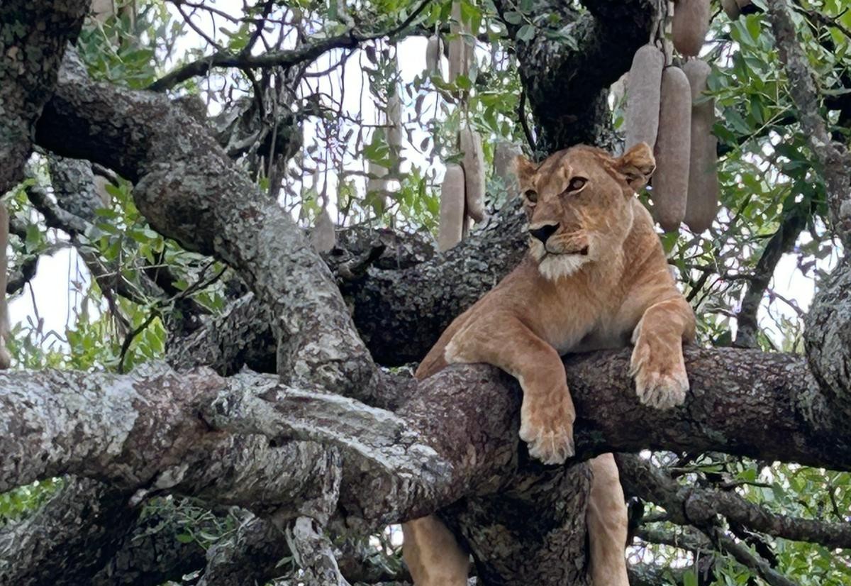 A Day Trip to Tarangire National Park