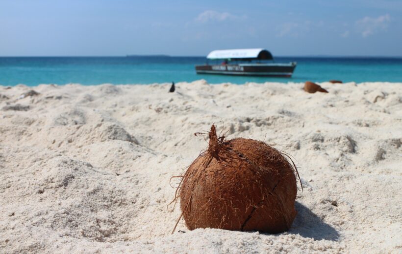 7 – Days Zanzibar Vacation for Family